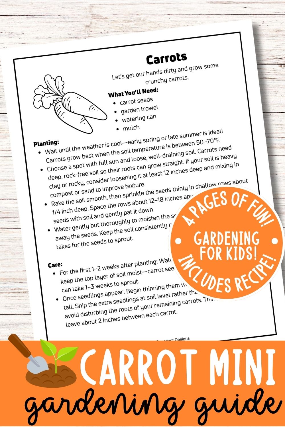 Carrot Mini Gardening Guide