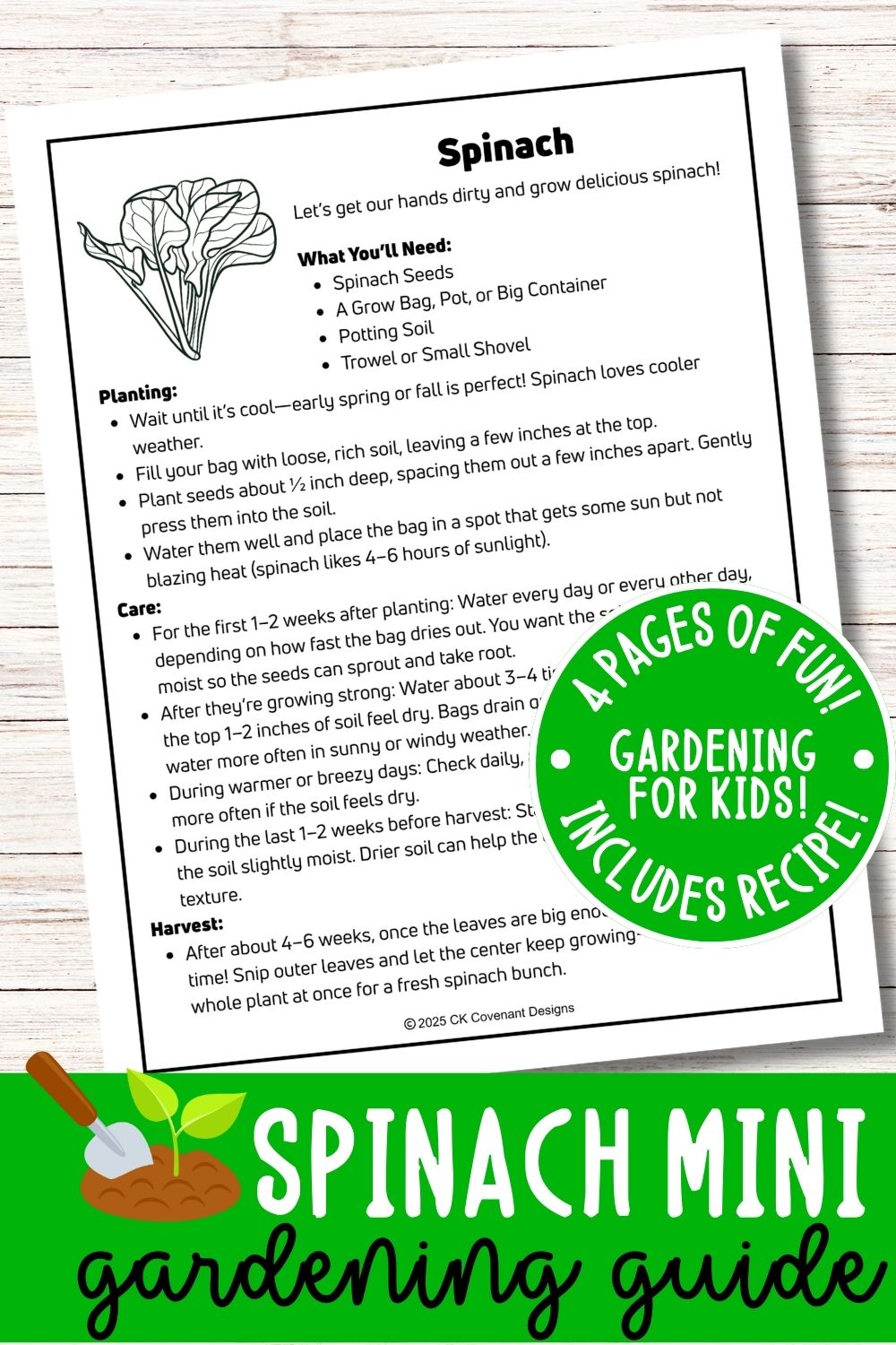 Spinach Mini Gardening Guide