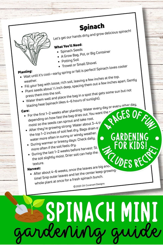 Spinach Mini Gardening Guide