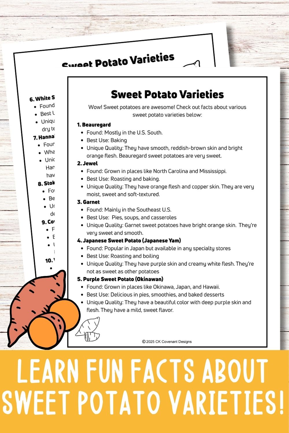 Sweet Potato Mini Gardening Guide
