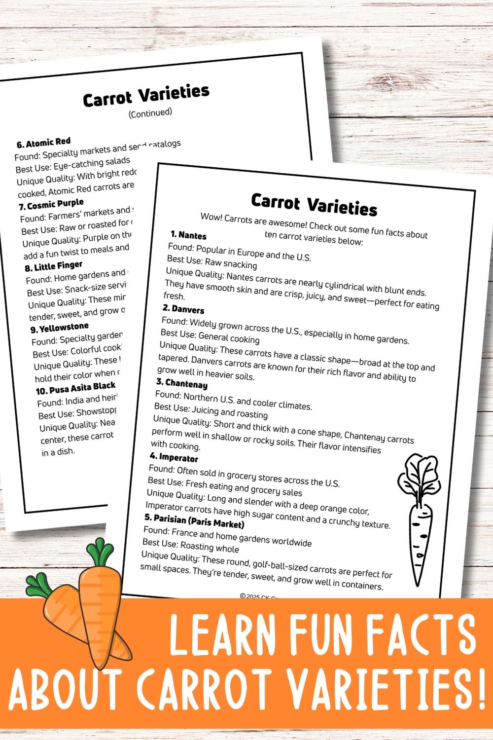 Carrot Mini Gardening Guide