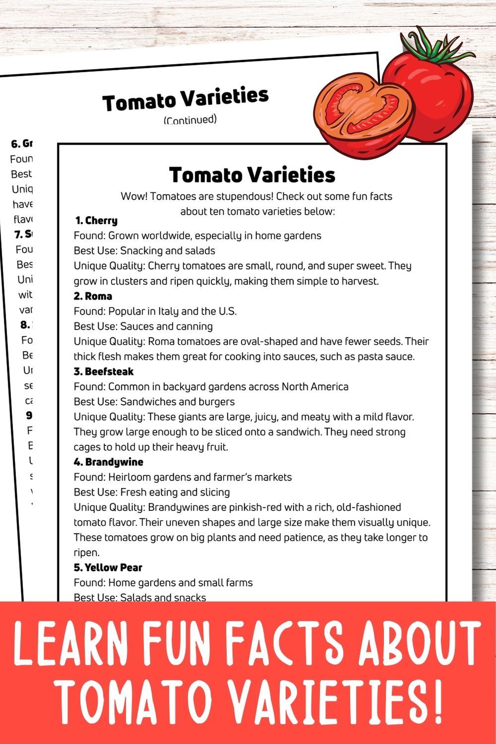 Tomato Mini Gardening Guide
