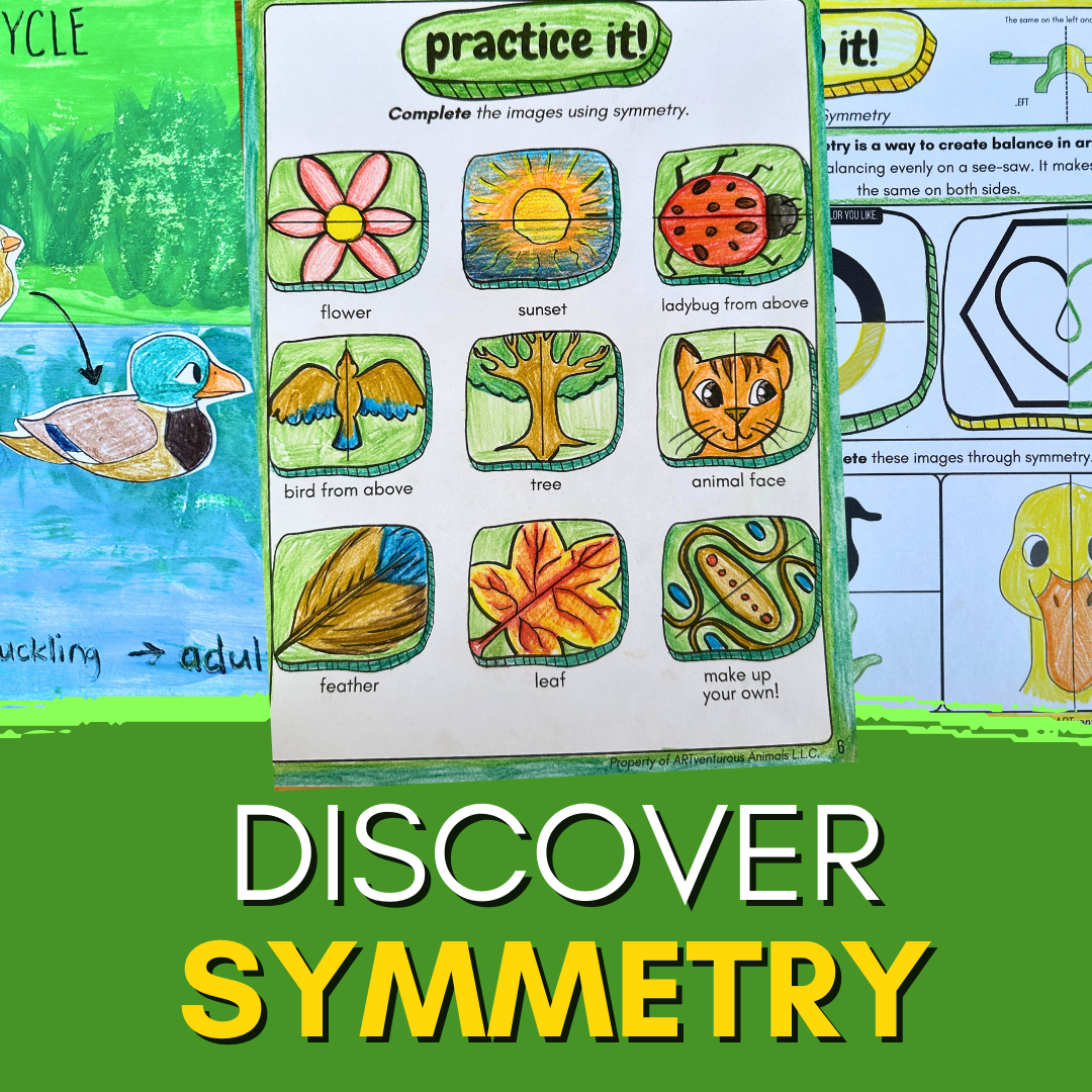 Draw Ducks! Mini Art Journal for Spring: Learn How to Draw the Duck Life Cycle and Discover Symmetry