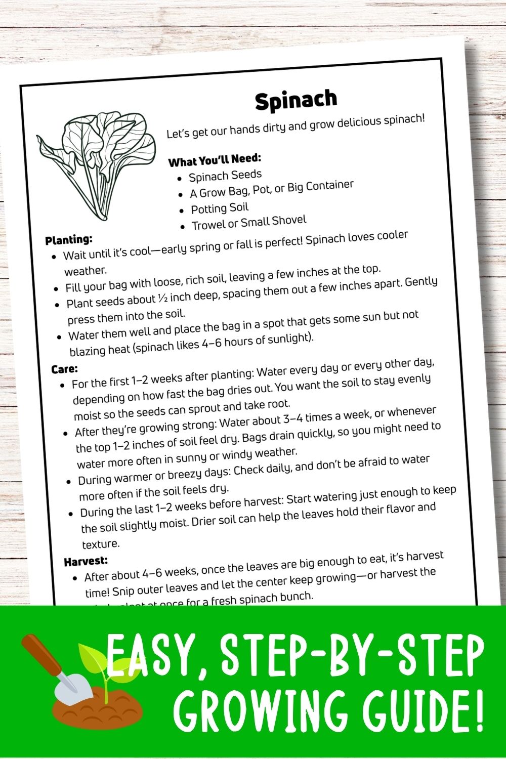 Spinach Mini Gardening Guide