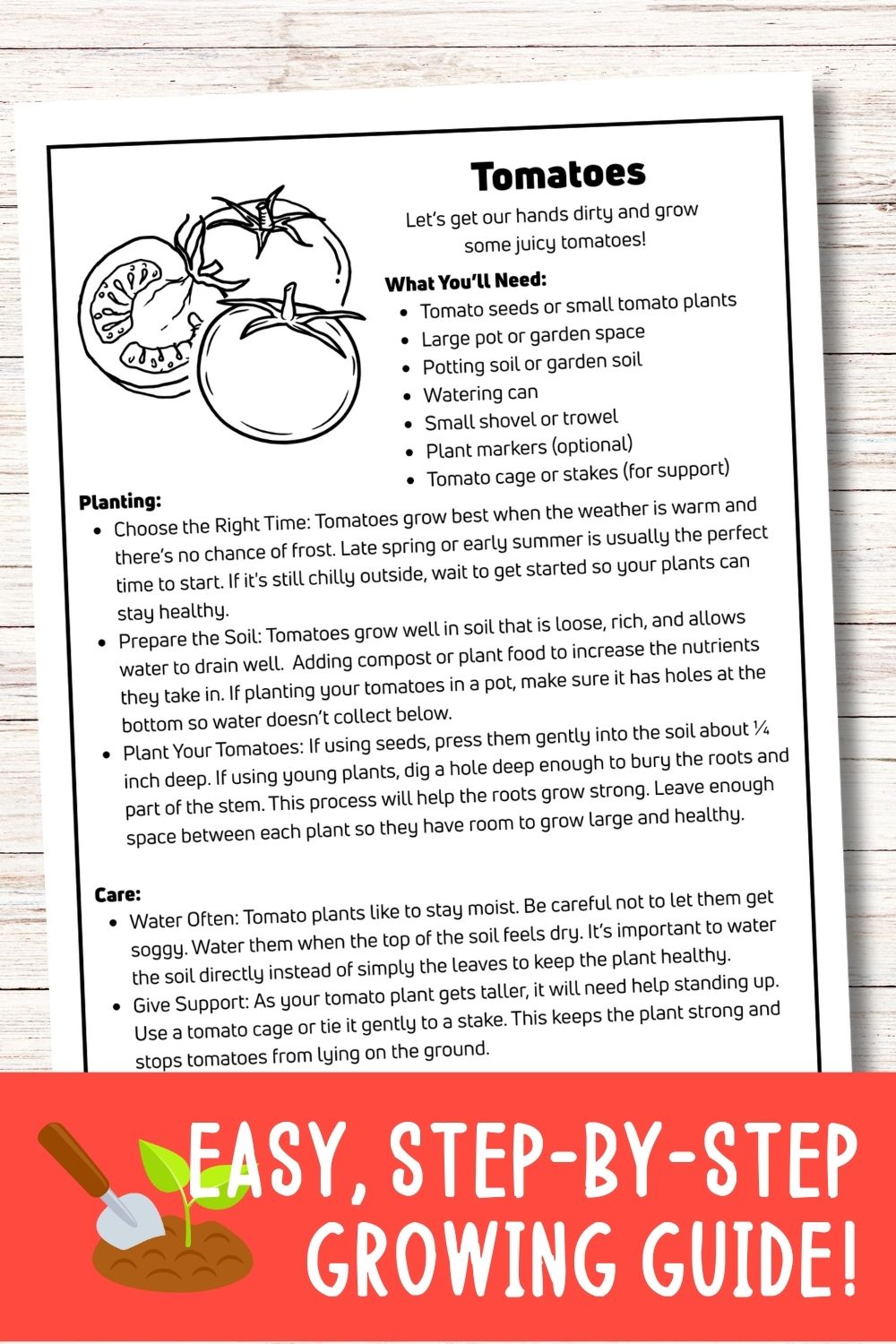 Tomato Mini Gardening Guide