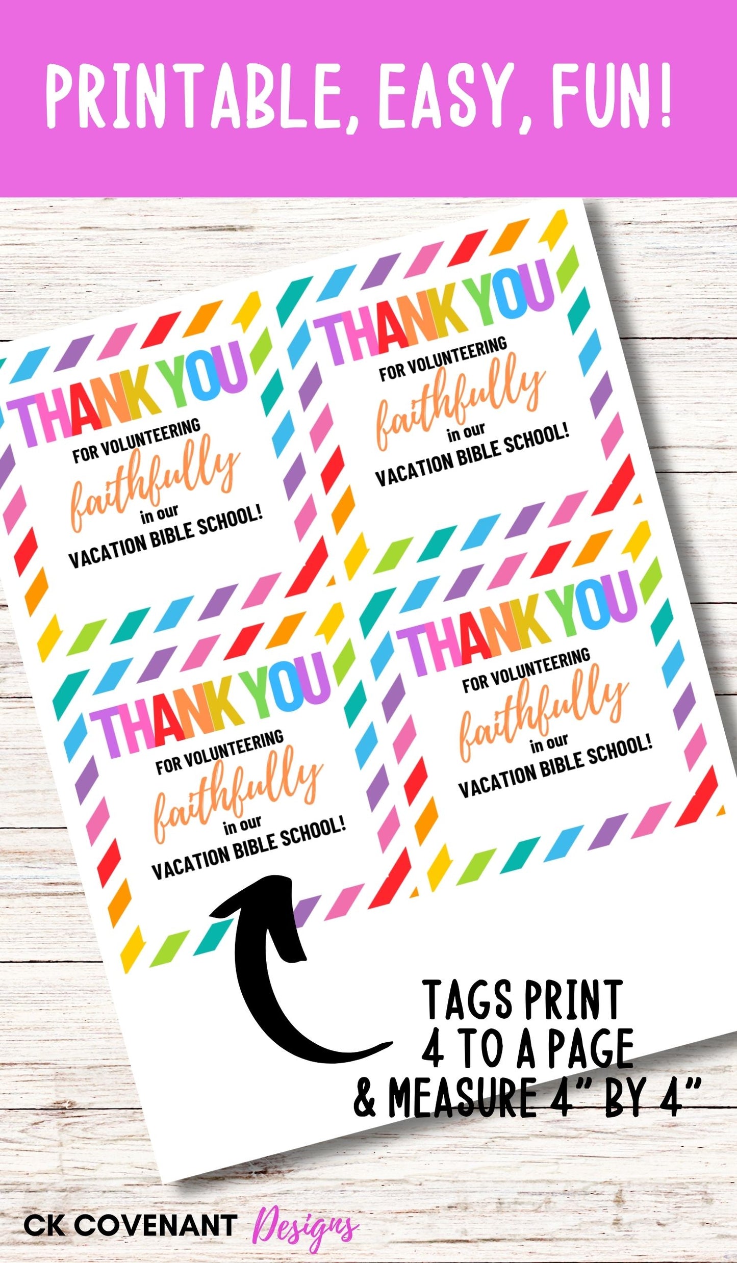 VBS Volunteer Thank You Tags (Stripe)
