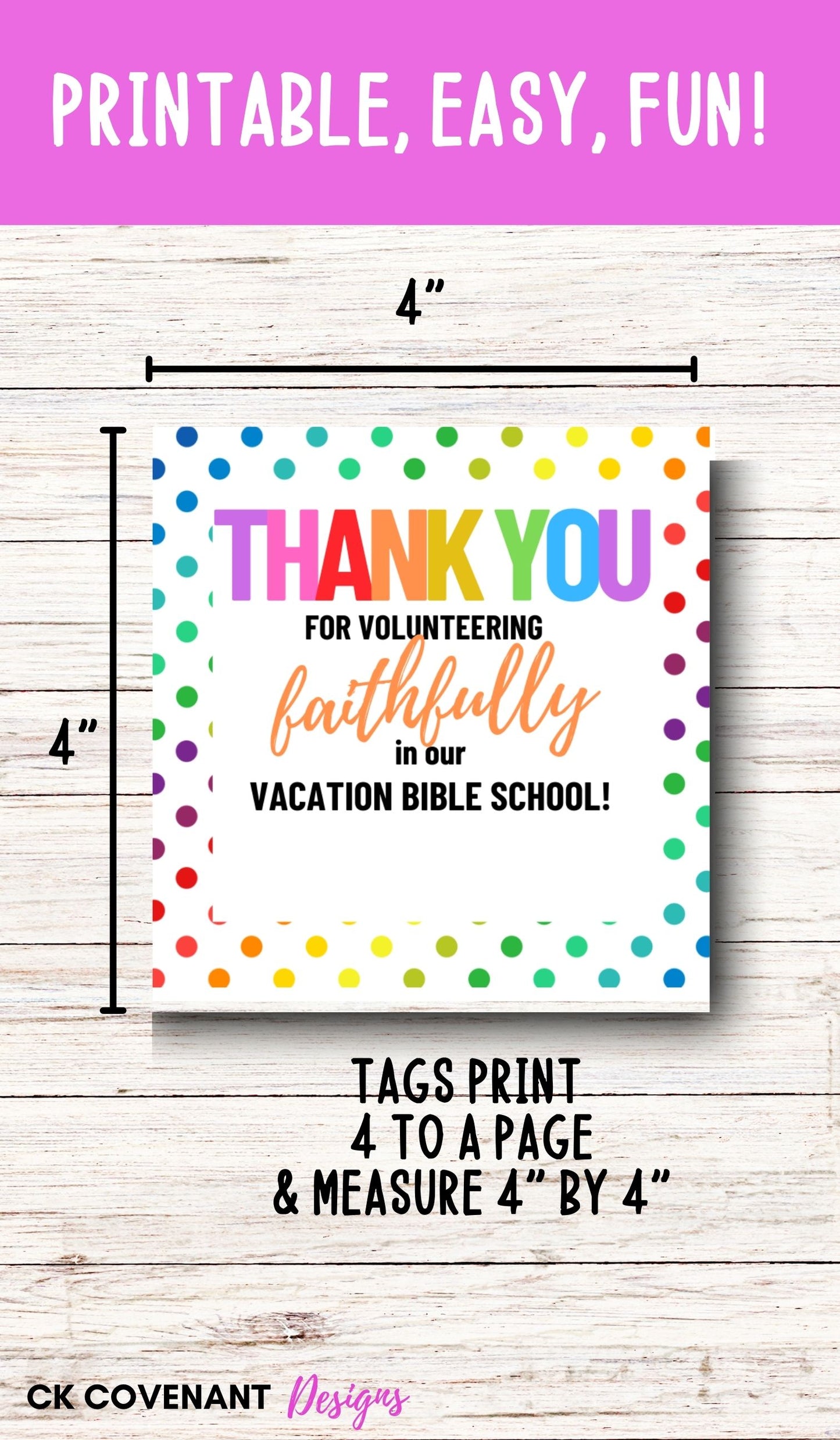 Vacation Bible School Volunteer Thank You Tags (Dots)