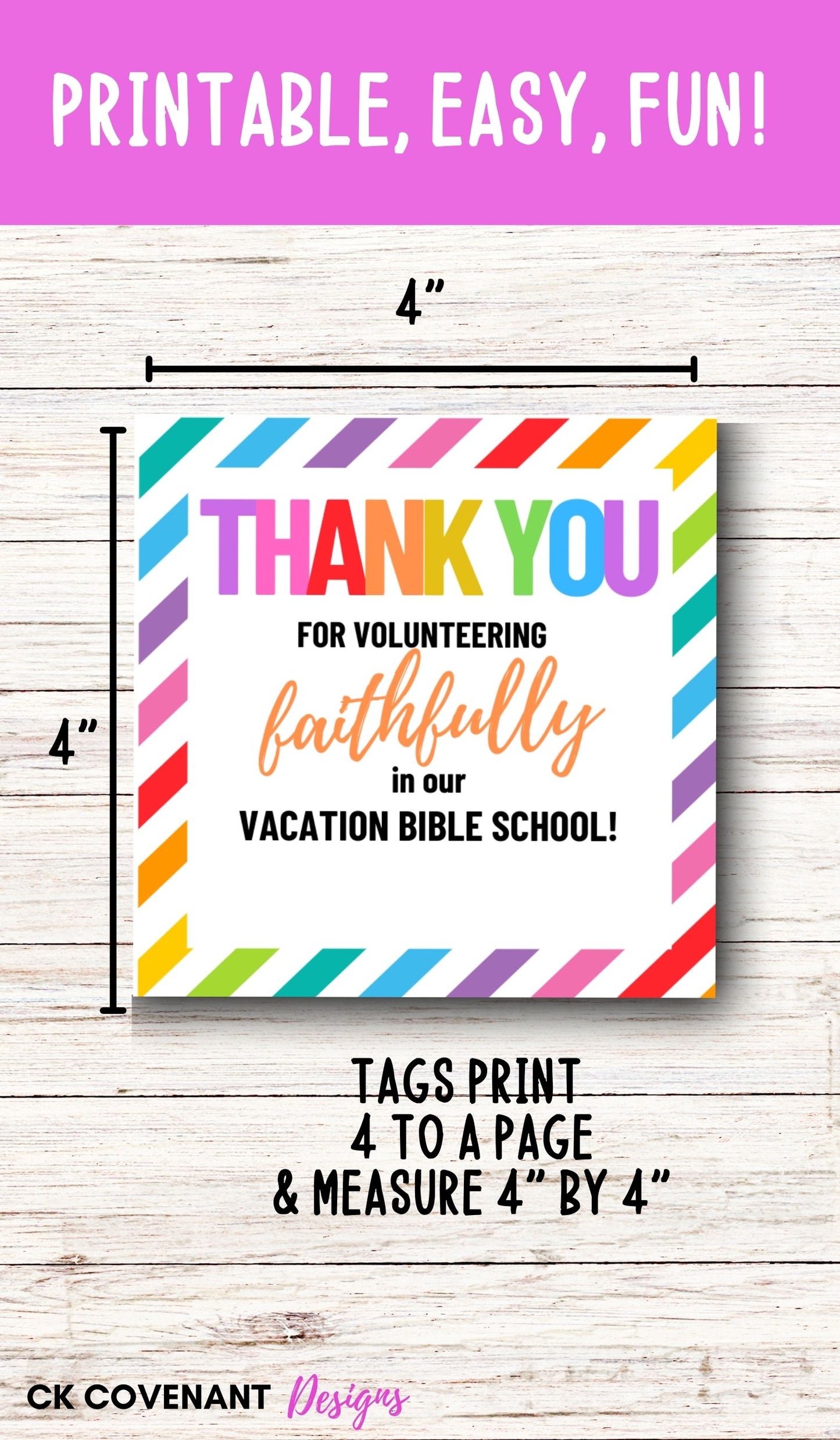 VBS Volunteer Thank You Tags (Stripe)