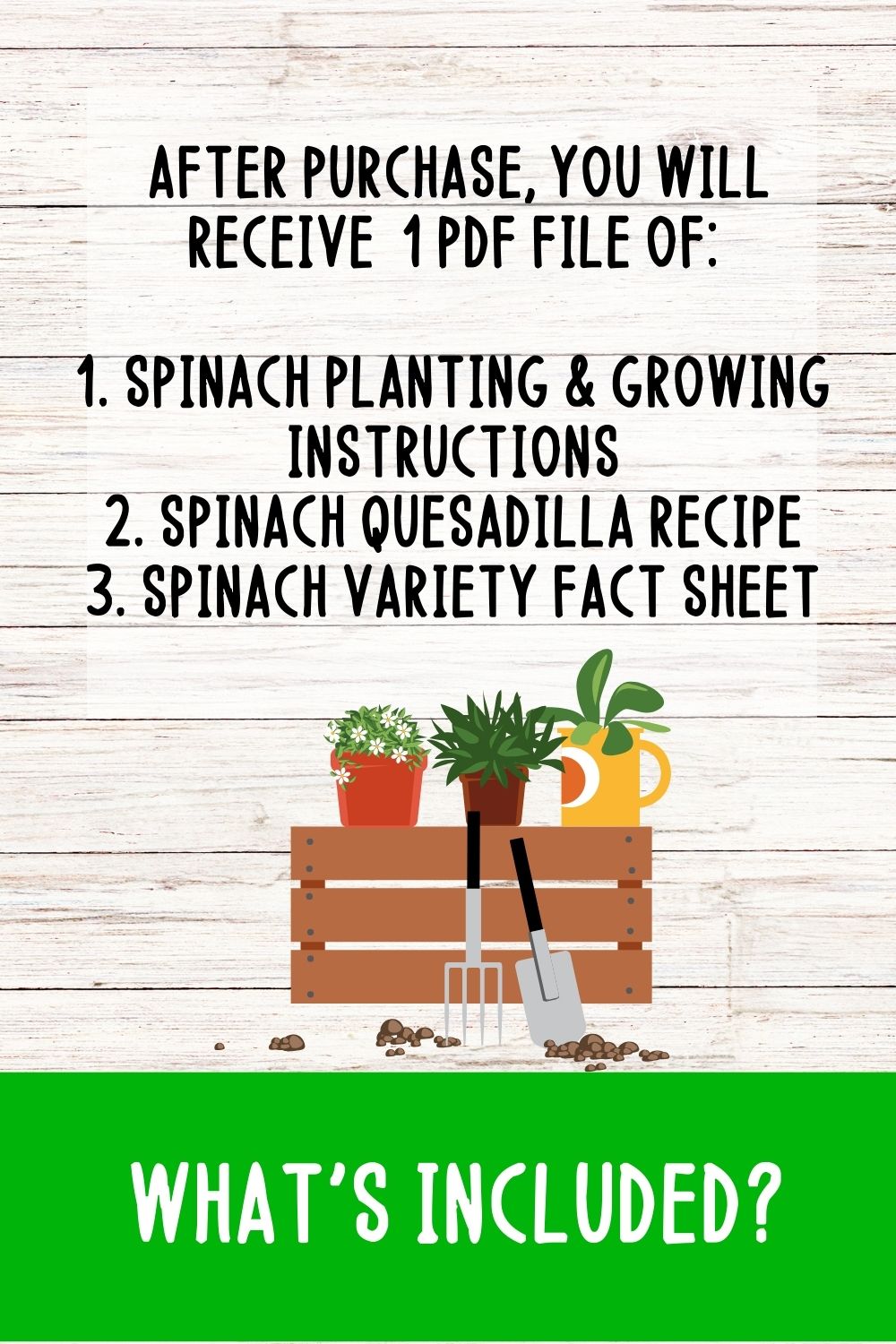 Spinach Mini Gardening Guide