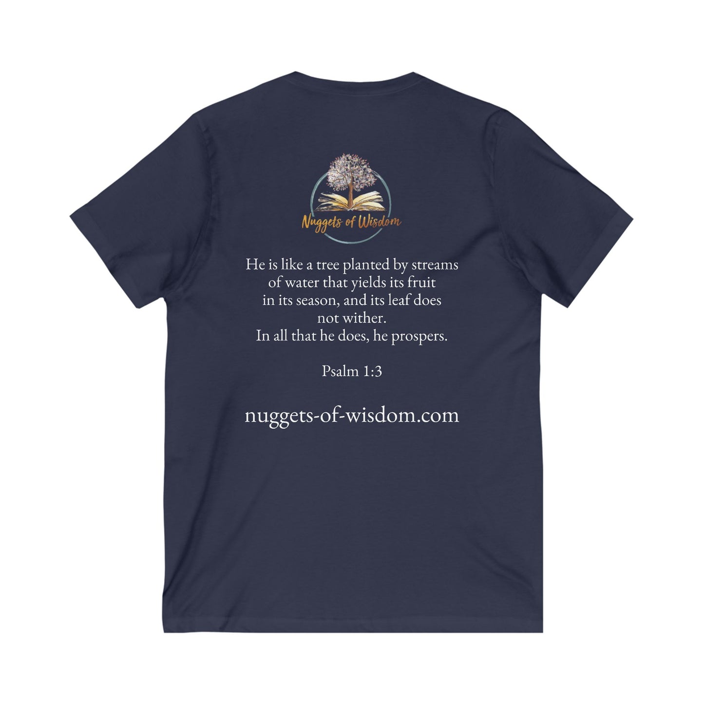 Inspirational V-Neck Tee: Nuggets of Wisdom
