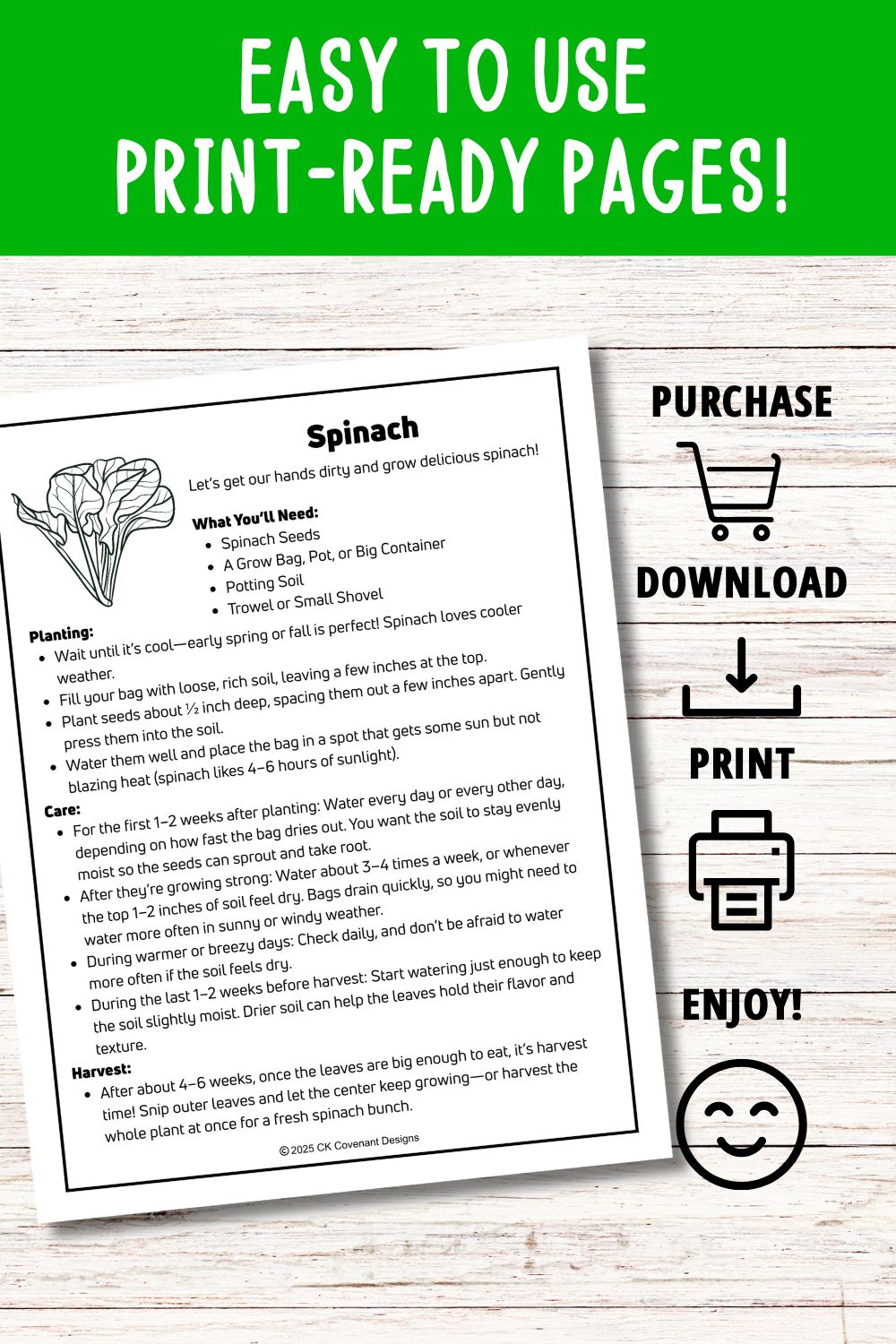 Spinach Mini Gardening Guide