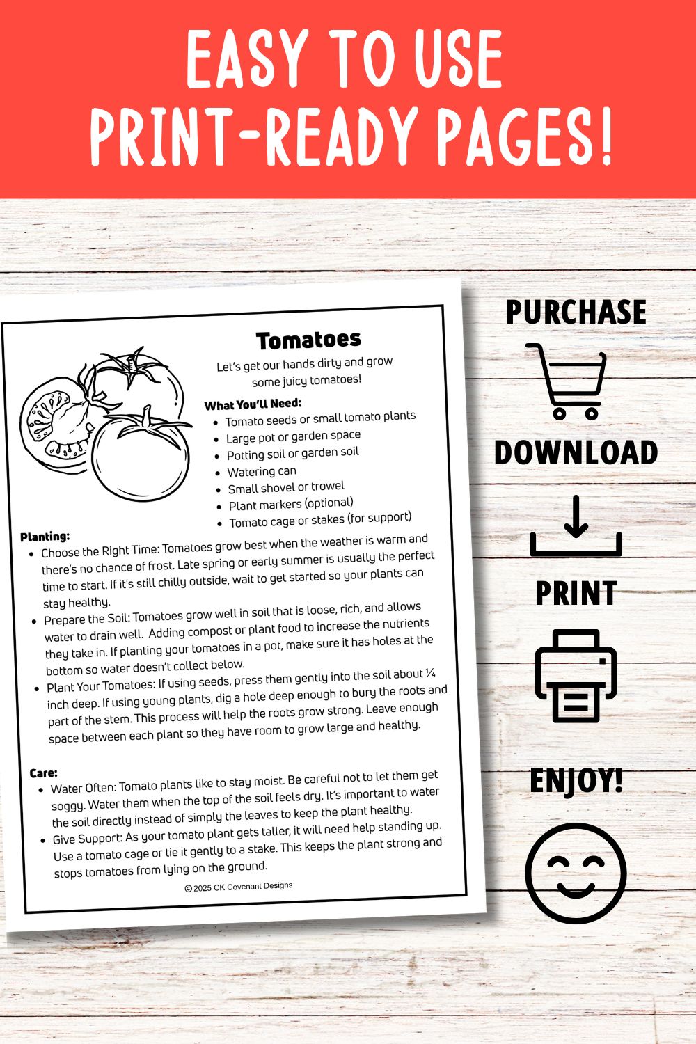 Tomato Mini Gardening Guide
