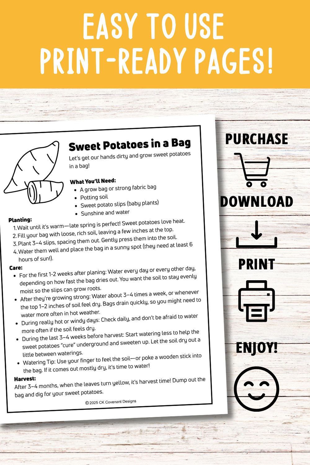 Sweet Potato Mini Gardening Guide