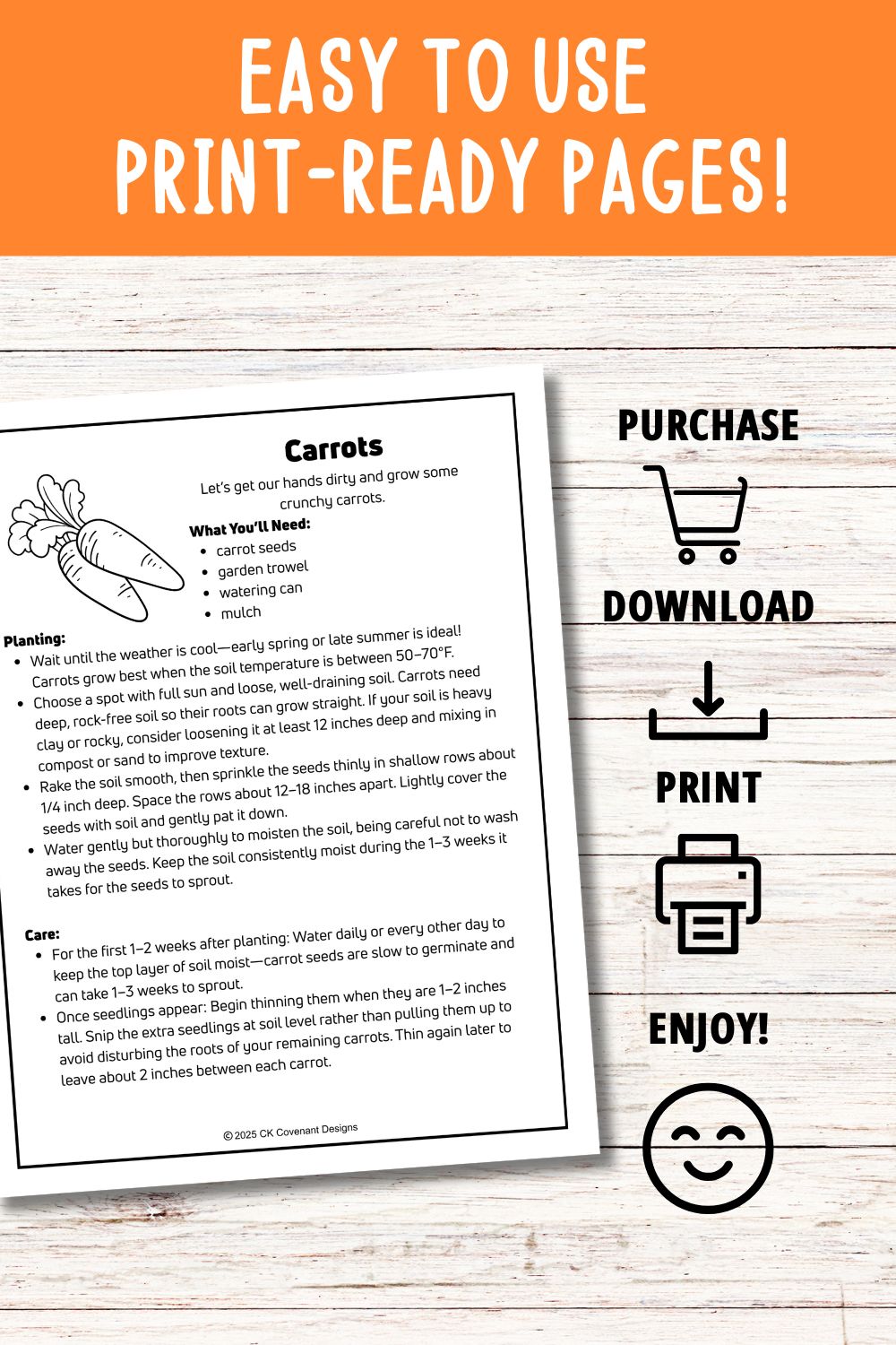 Carrot Mini Gardening Guide