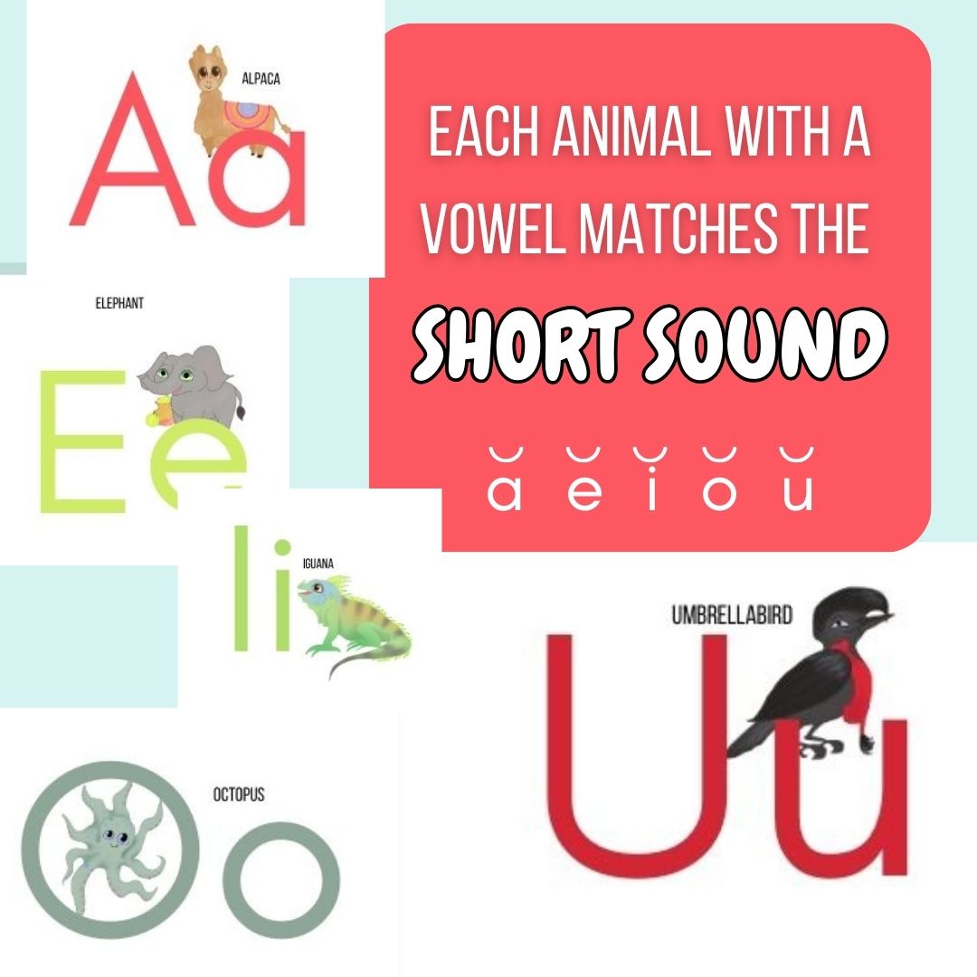 Alphabet Posters and Flashcards with Cute Animals for Phonics Review