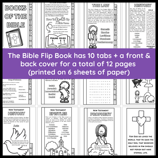 6890ffe243caa0180f947e31_books-of-the-bible-mini-flip-book-activity-pack-2-_1780323858604.png