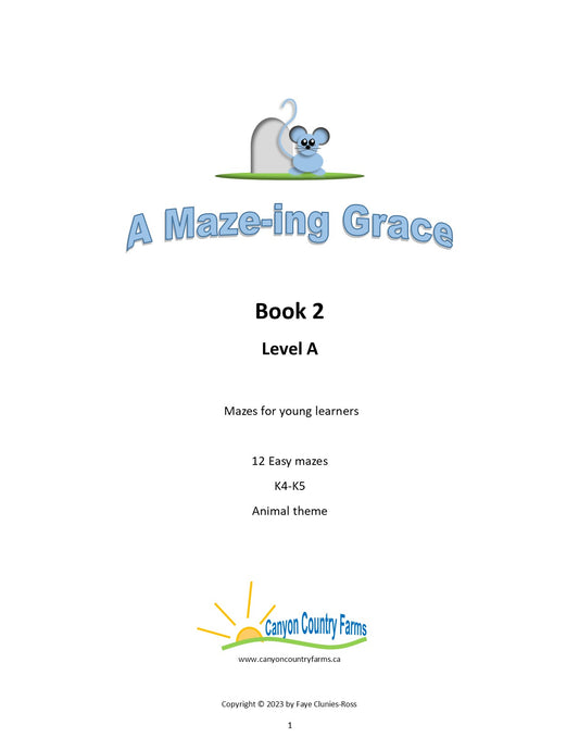 A Maze-ing Book 2