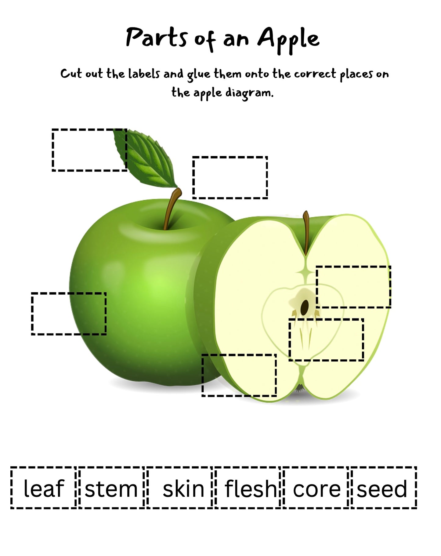 All About Apples for Preschool and Kindergarten