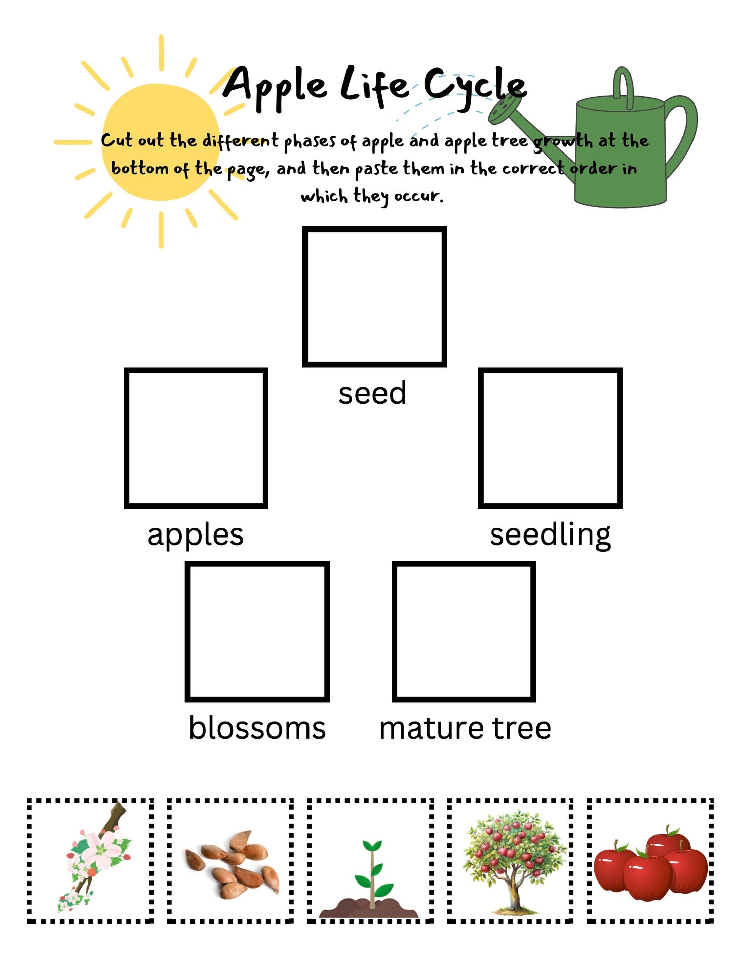 All About Apples for Preschool and Kindergarten