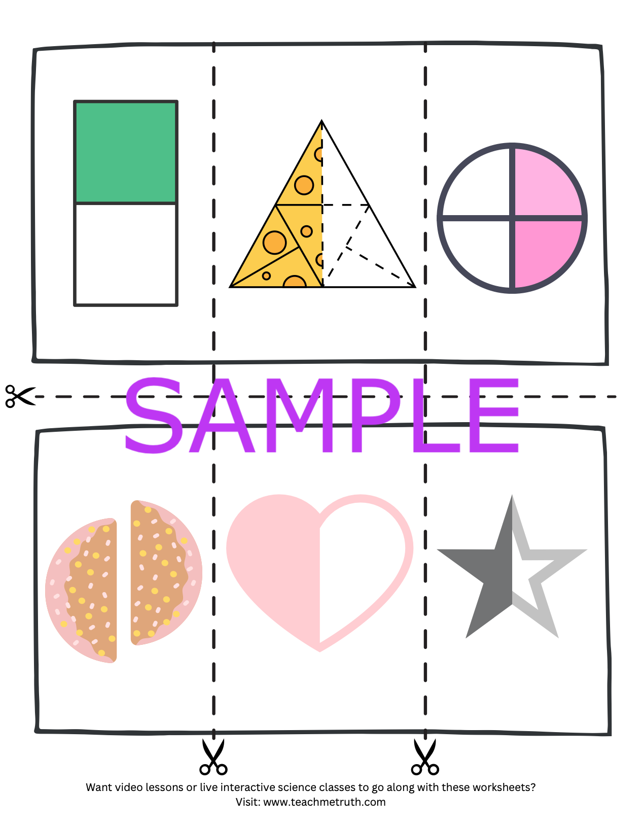 Fraction Book - Cut & Paste Activity 1/2, 1/4, 3/4