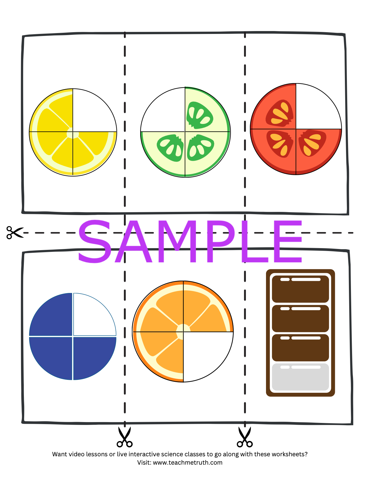 Fraction Book - Cut & Paste Activity 1/2, 1/4, 3/4