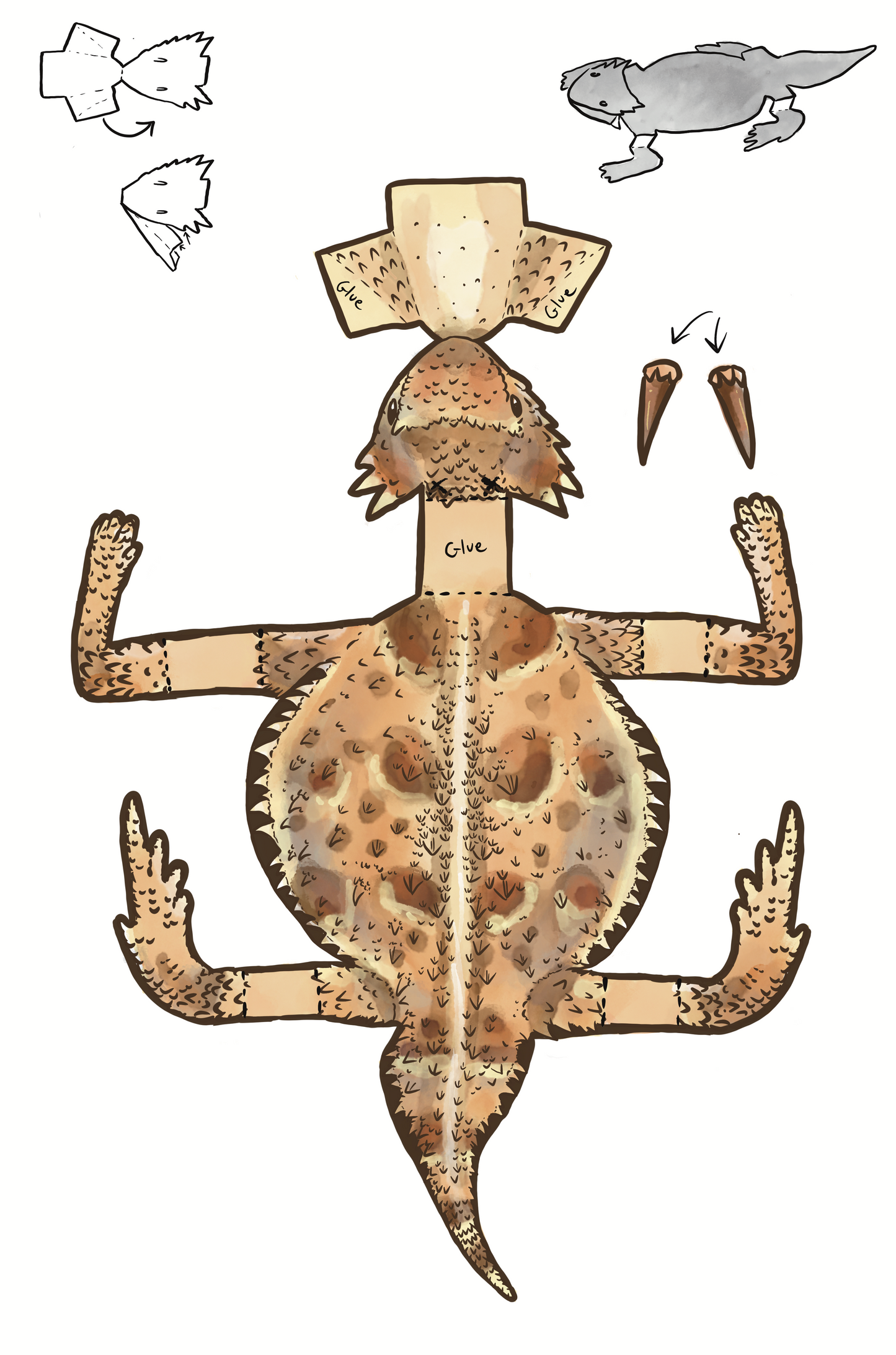 Horny Toad fold up craft