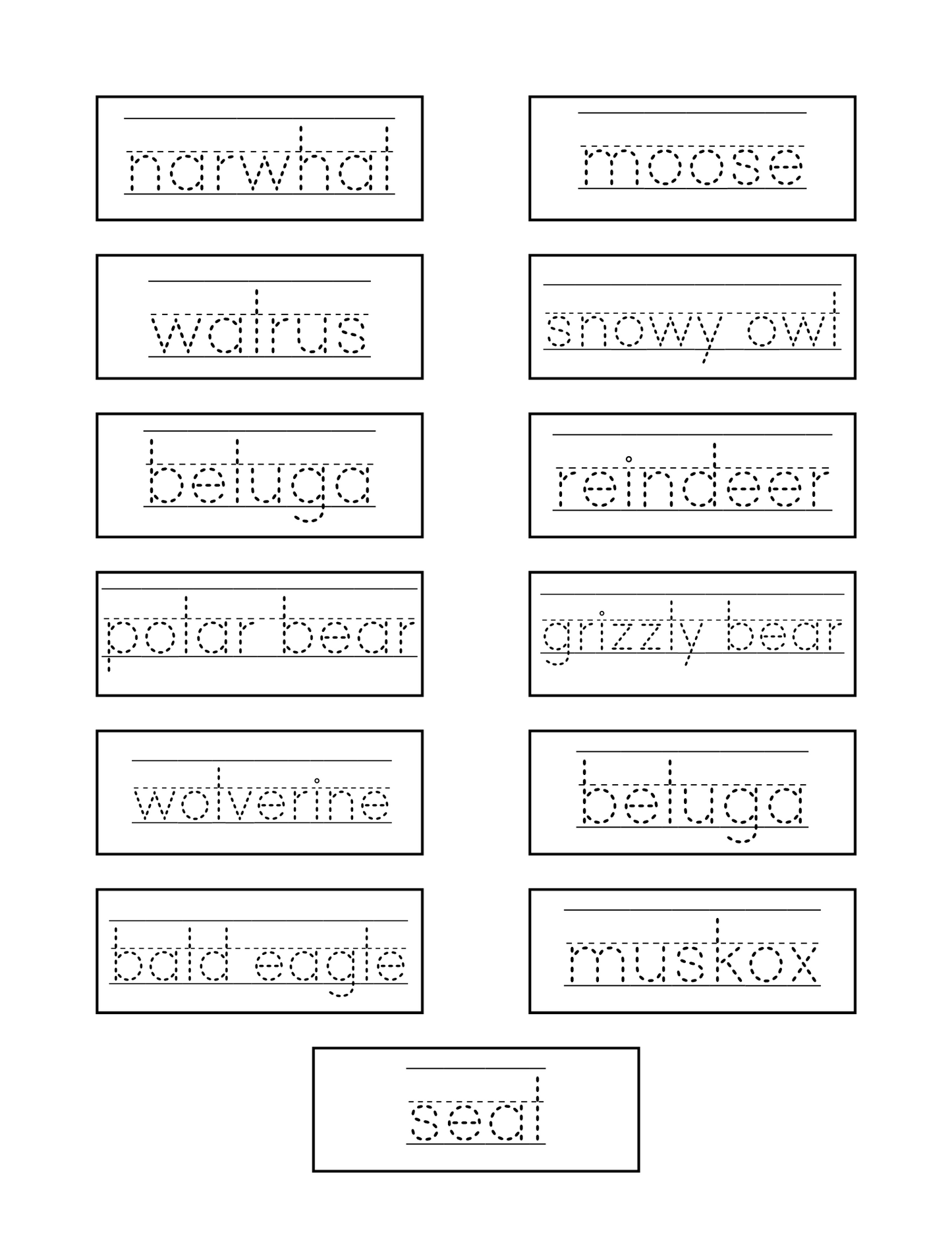 I See Series: Arctic Animals