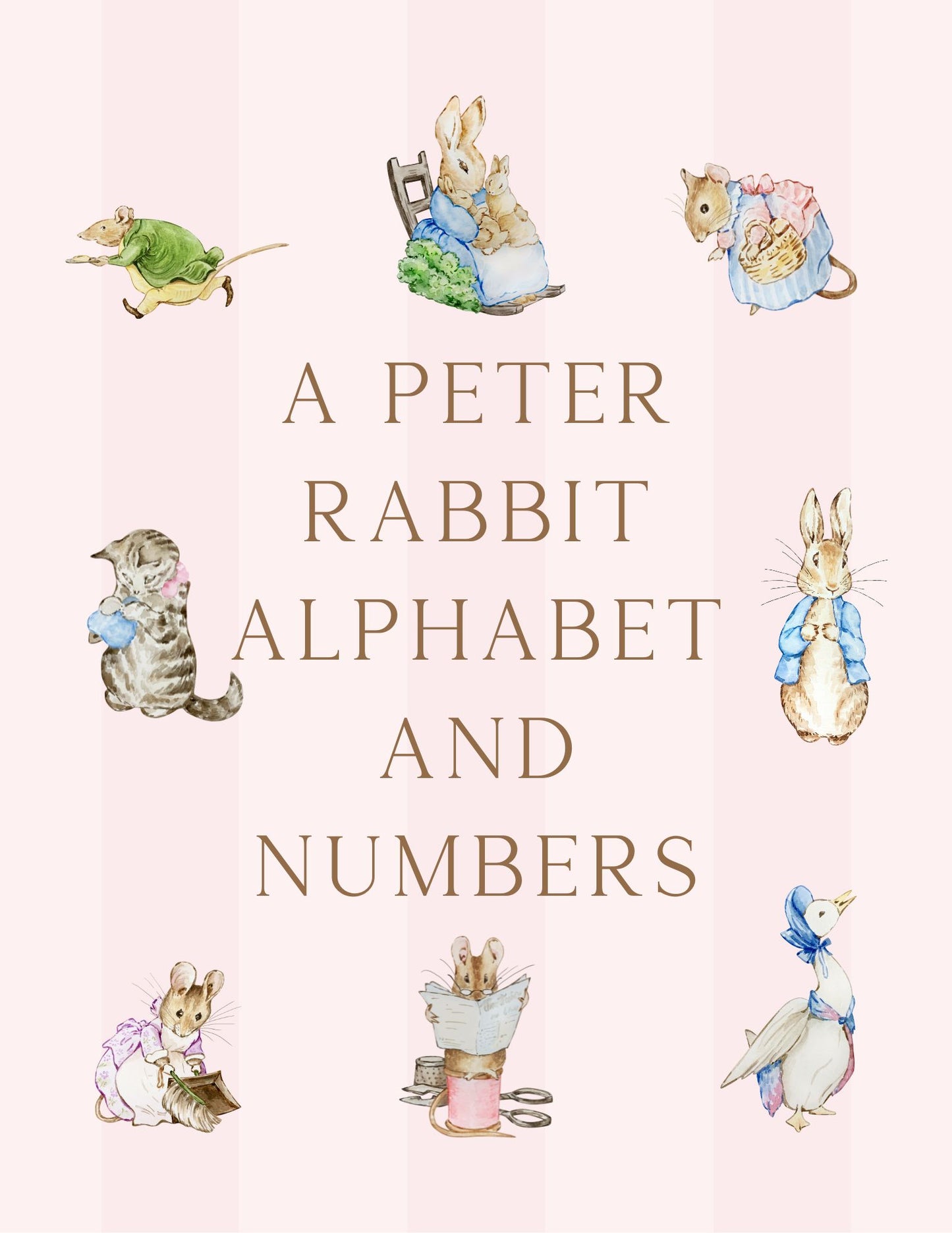 Peter Rabbit Alphabet and Numbers Flashcards
