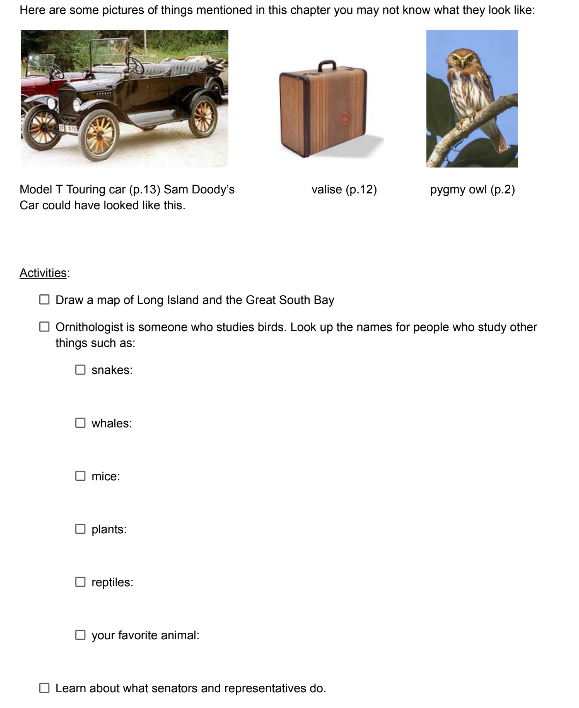 Pinky Pye Novel Study