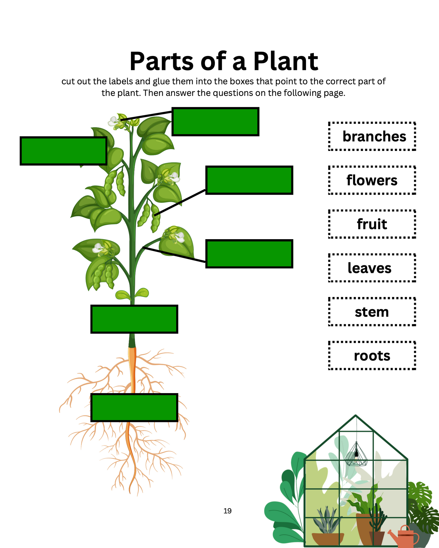 All About Plants Science Unit Study