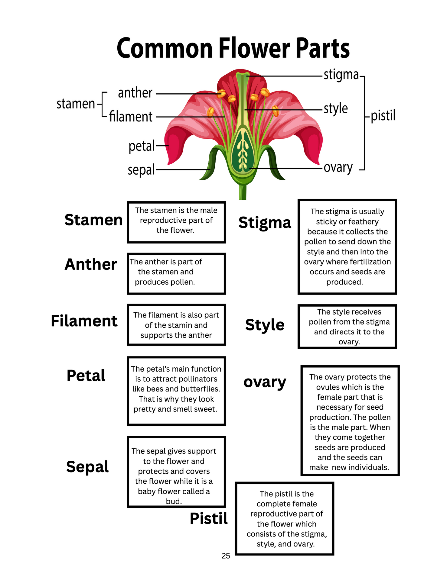 All About Plants Science Unit Study