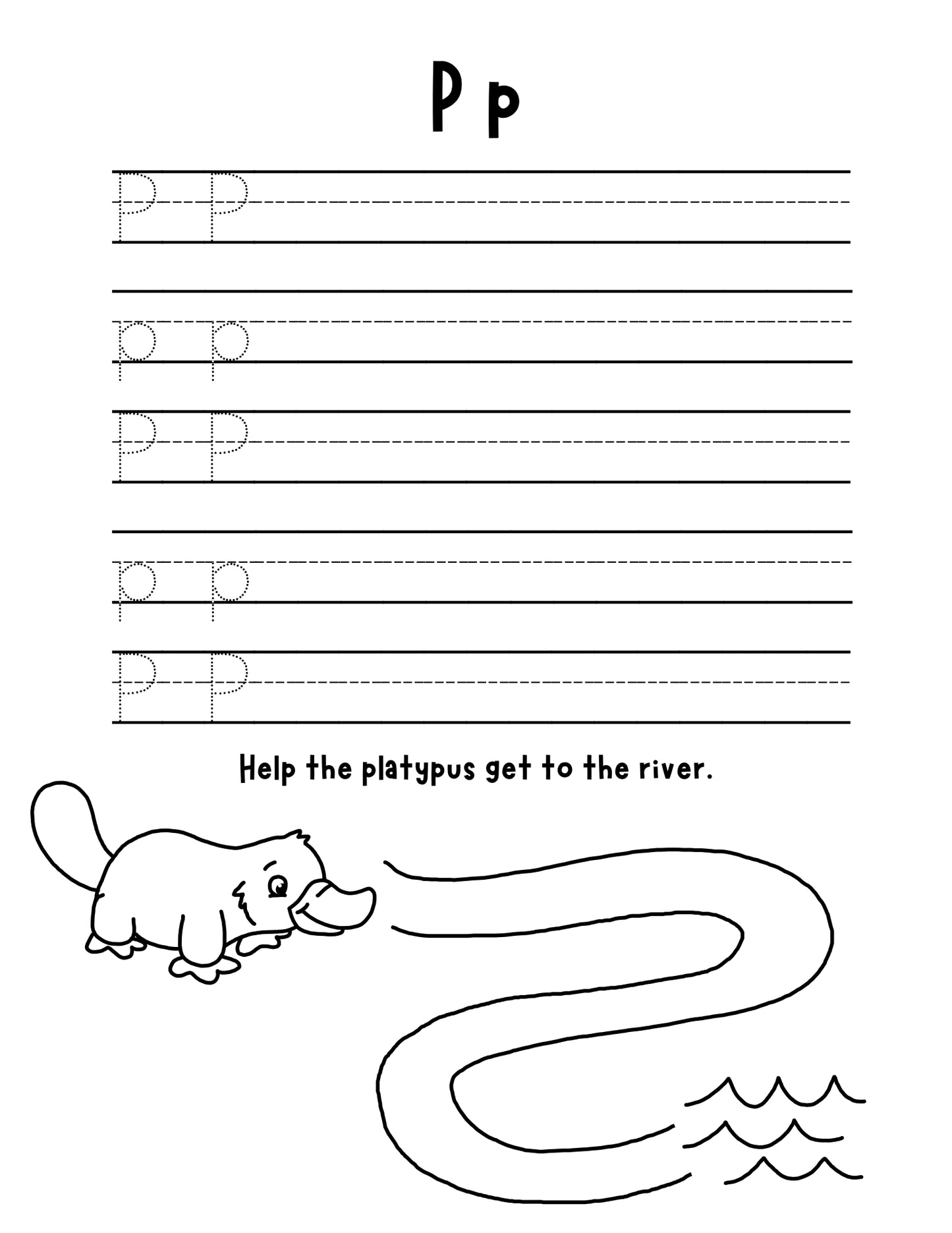 ABCs with Animals