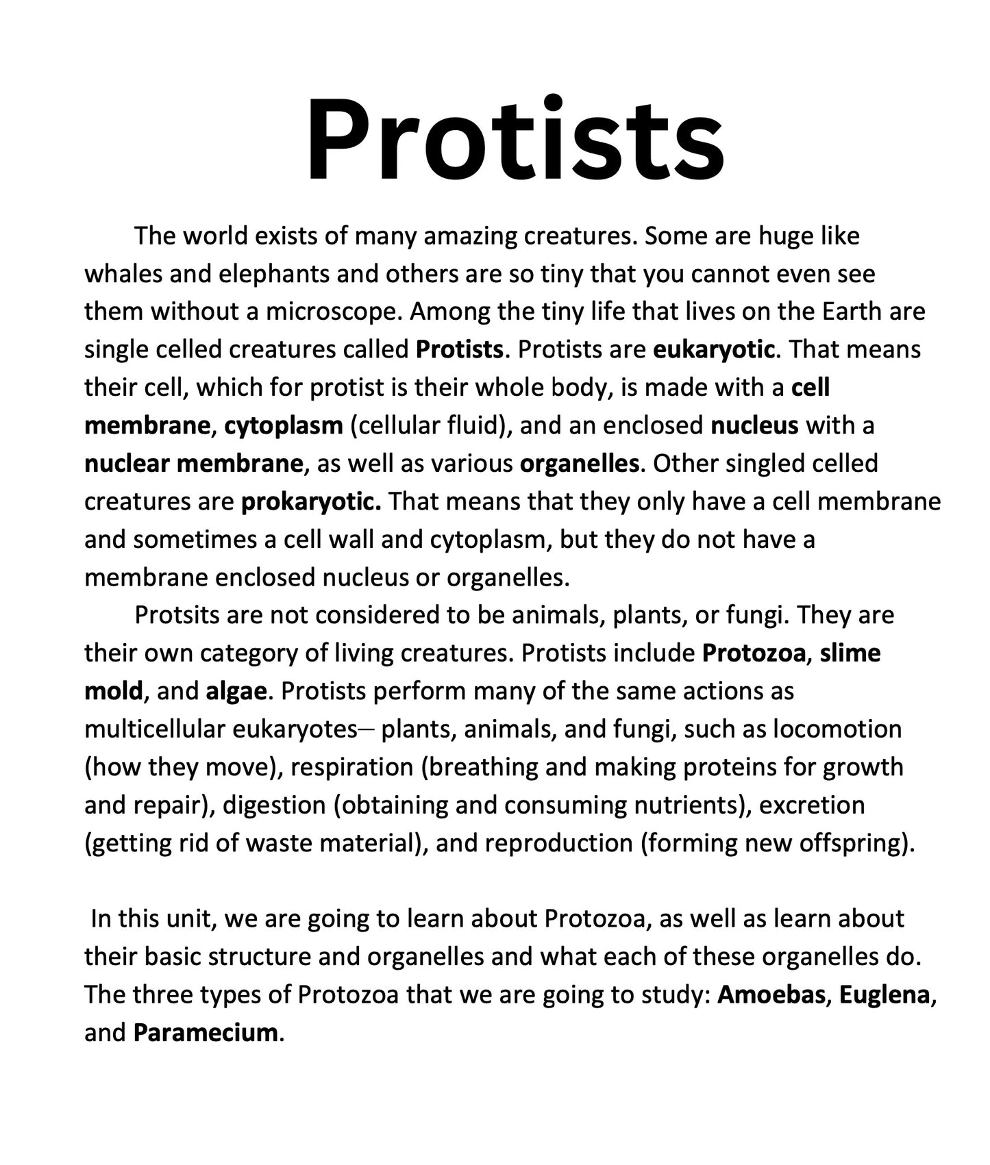 Protist and Eukaryotic Cells