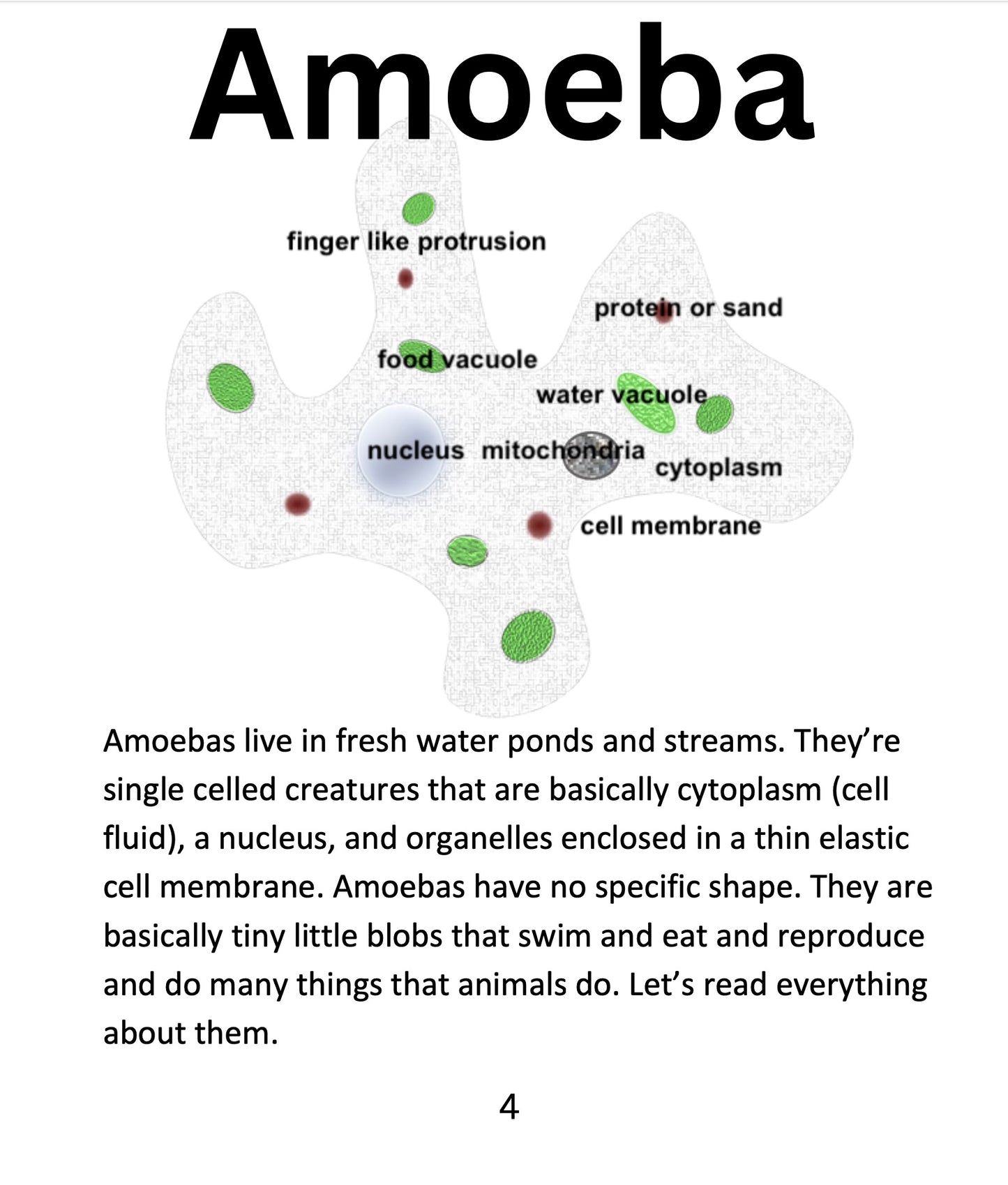 Protist and Eukaryotic Cells