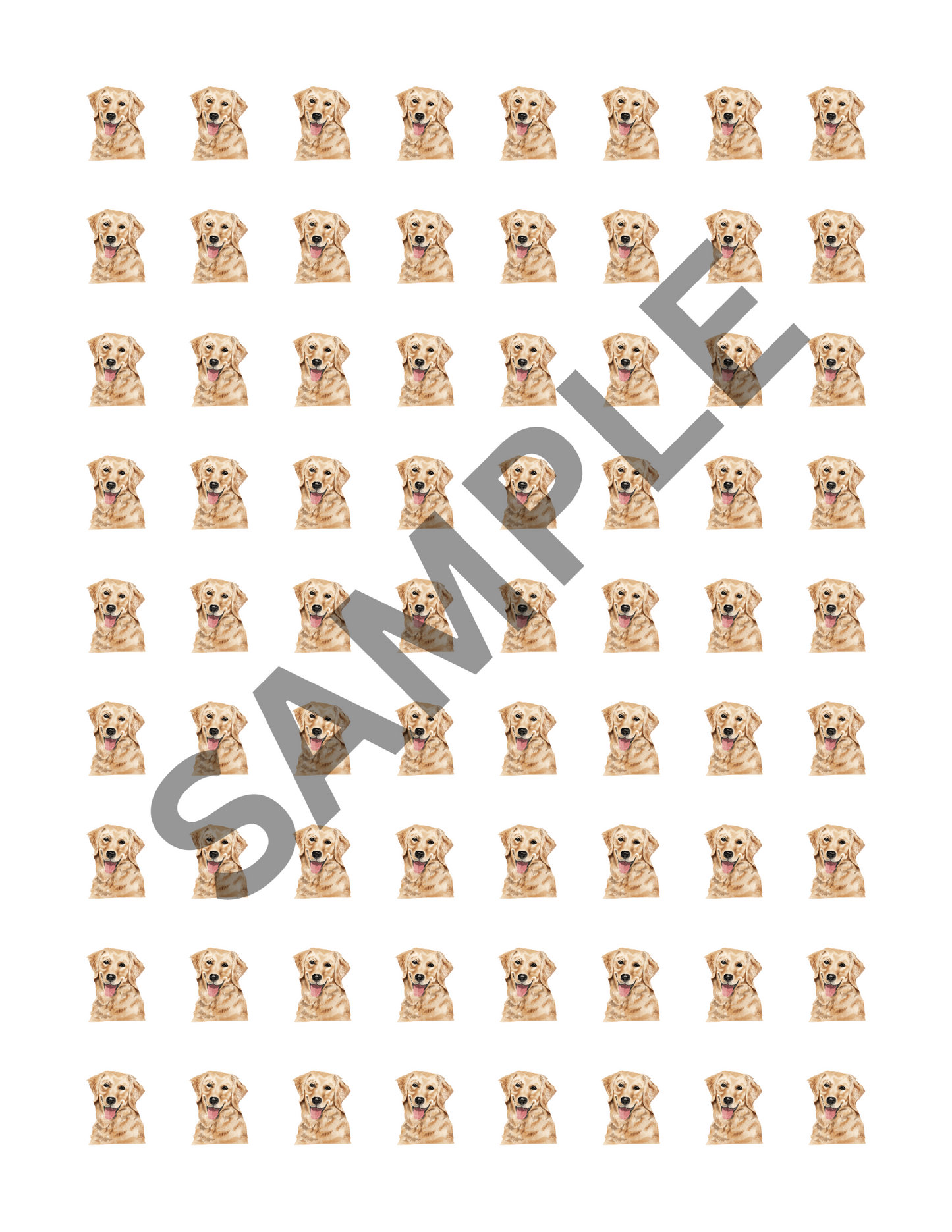 Square Game: Golden Retriever