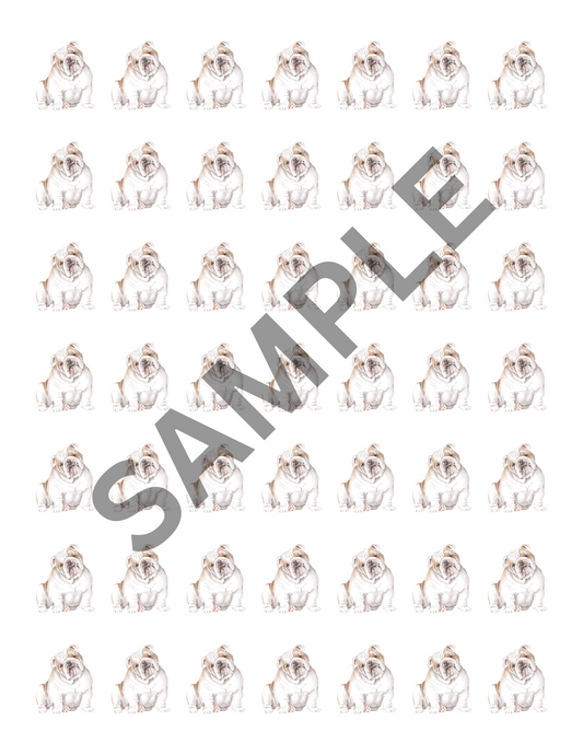 Square Game: English Bulldogs