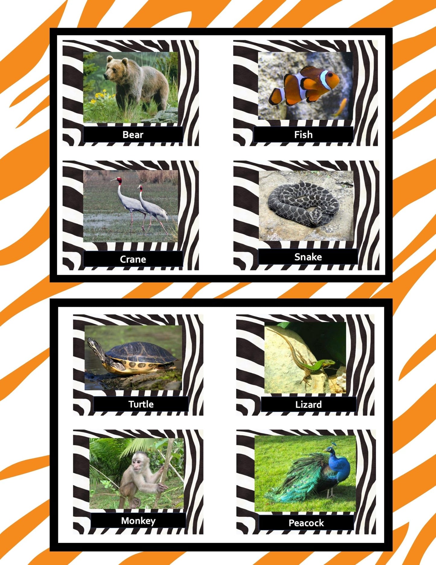 Zoo Animals Syllable Segmentation Sorting Activity