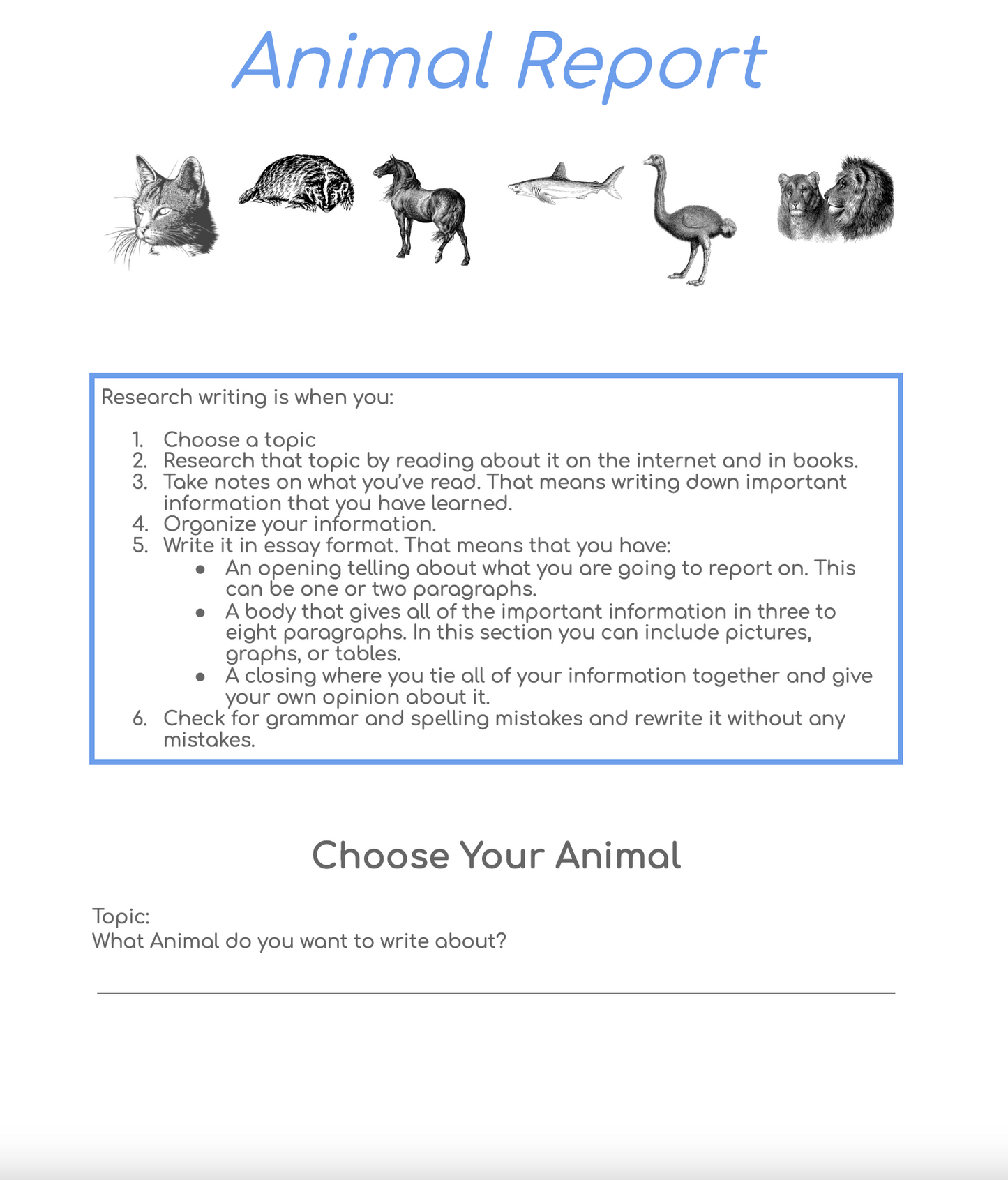 Animal Report