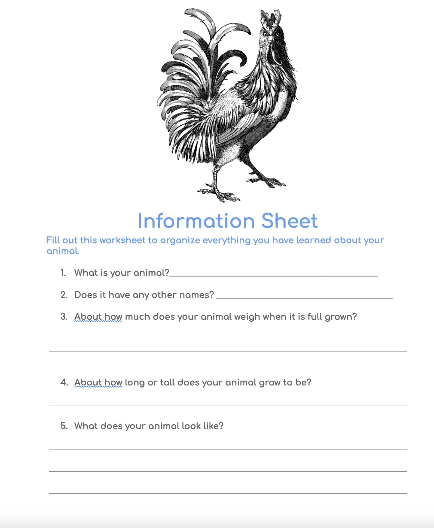Animal Report