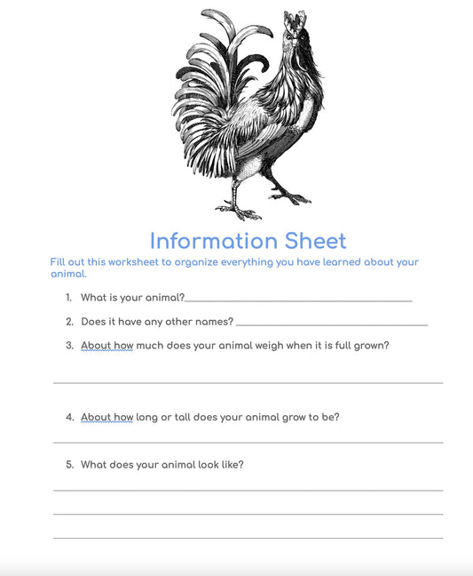 Animal Report