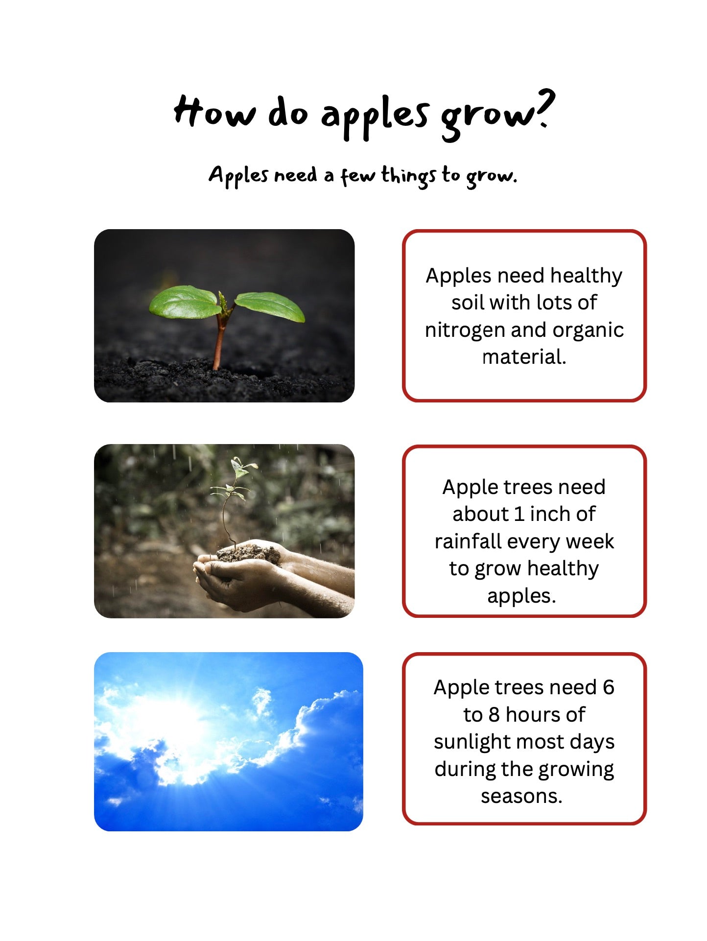 All About Apples for Preschool and Kindergarten