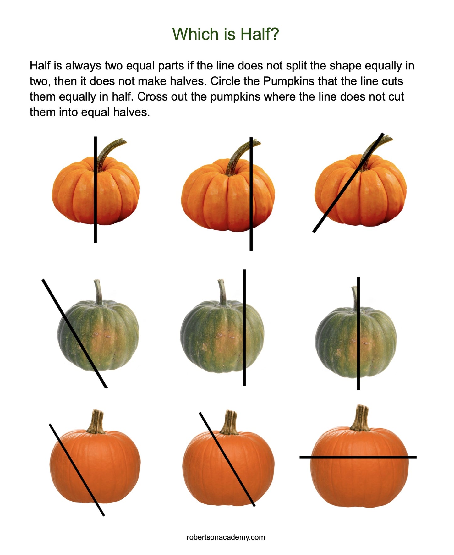 Autumn Math for 1st - 3rd Grades: Digital Product