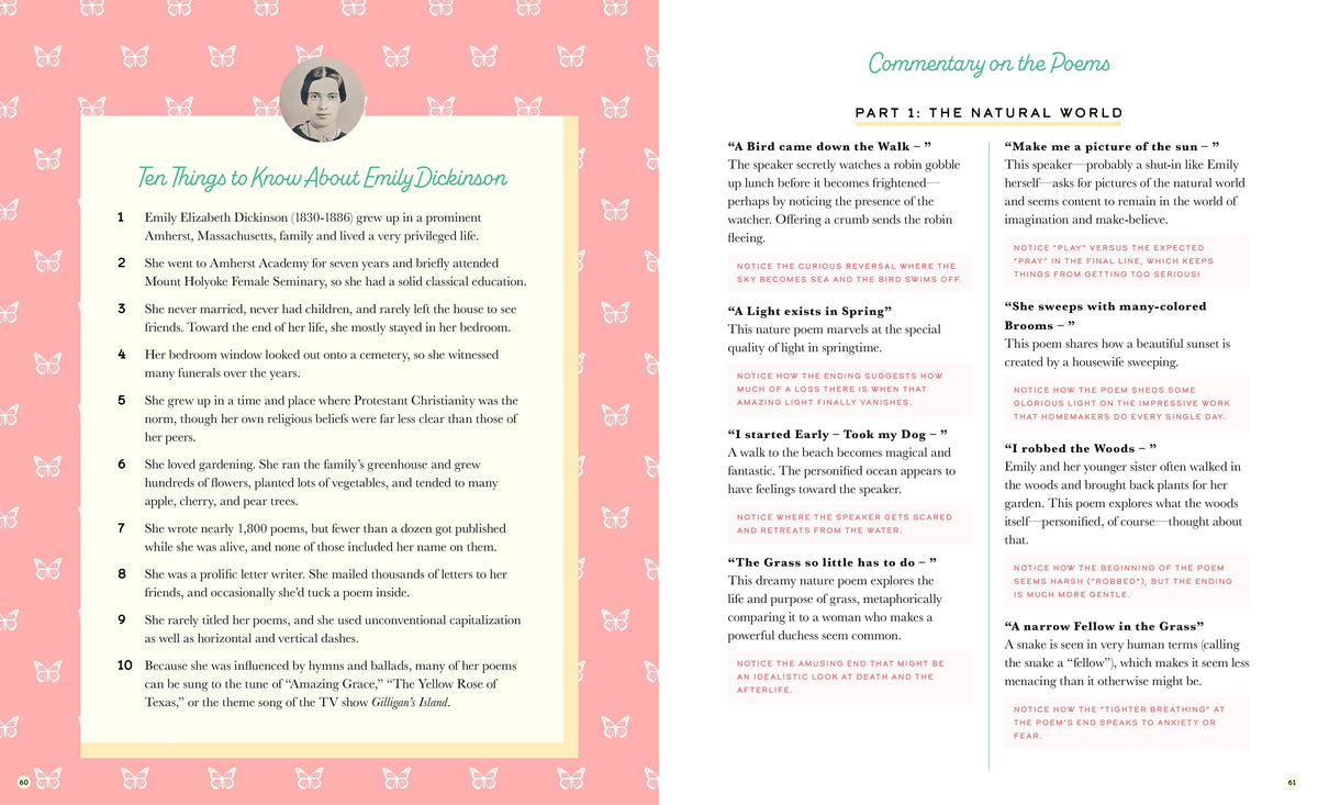 The Illustrated Emily Dickinson