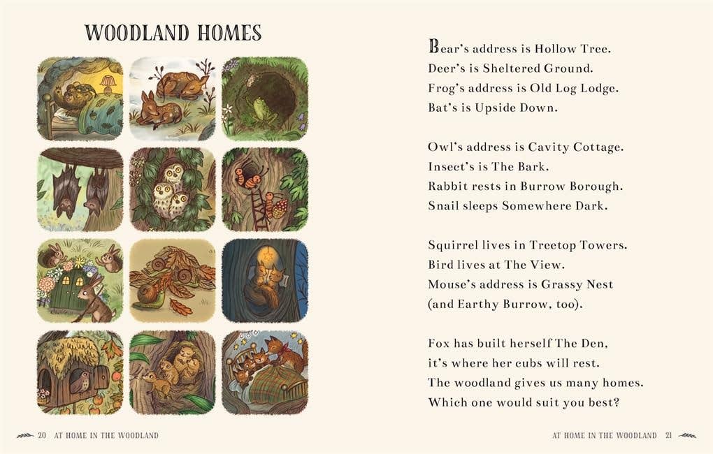 Brown Bear Wood: Wisdom of the Woods