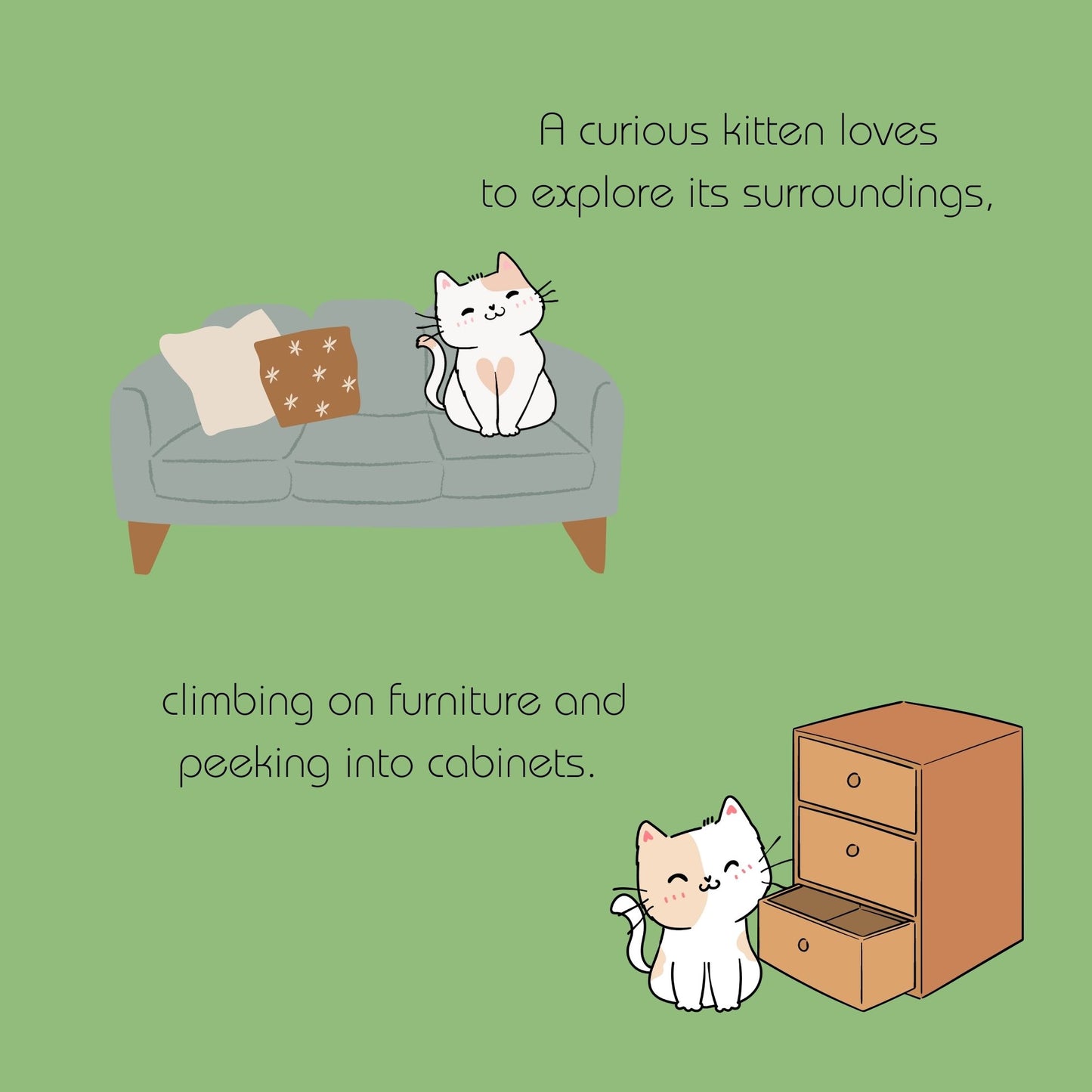 A Curious Kitten; Written by Nat Bro