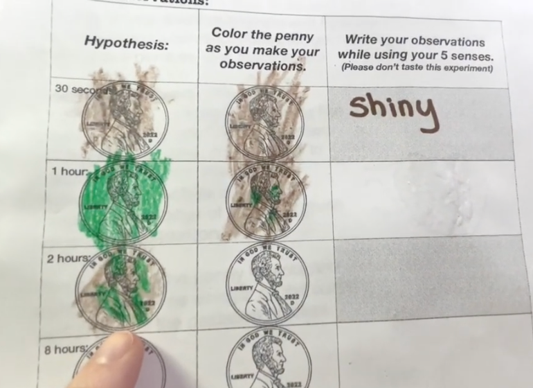 2-in-1 Shiny Pennies Science Experiment Journal & Step-By-Step Instructions