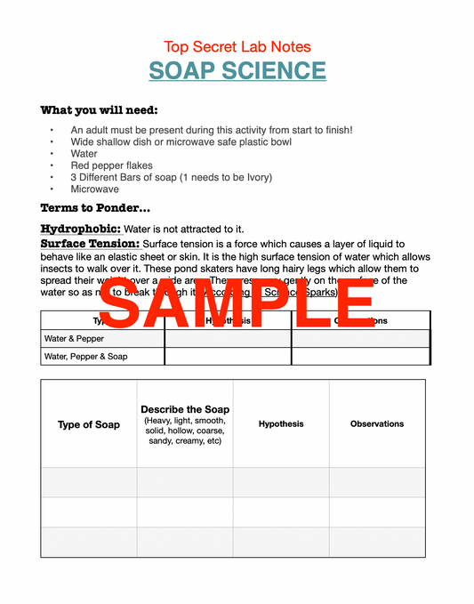 2-in-1 Soap Science Experiments Journal & Step-By-Step Instructions