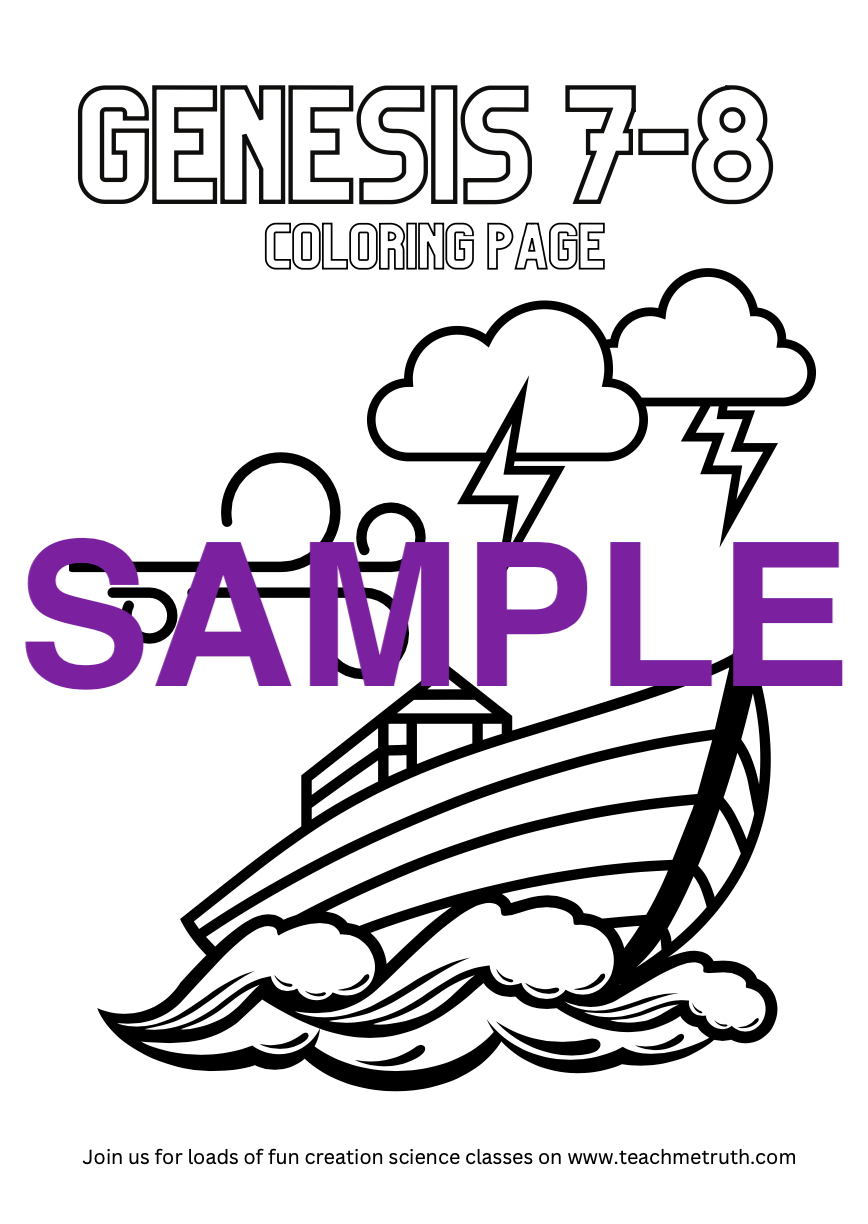 Noah's Ark Workbook Genesis 7-8