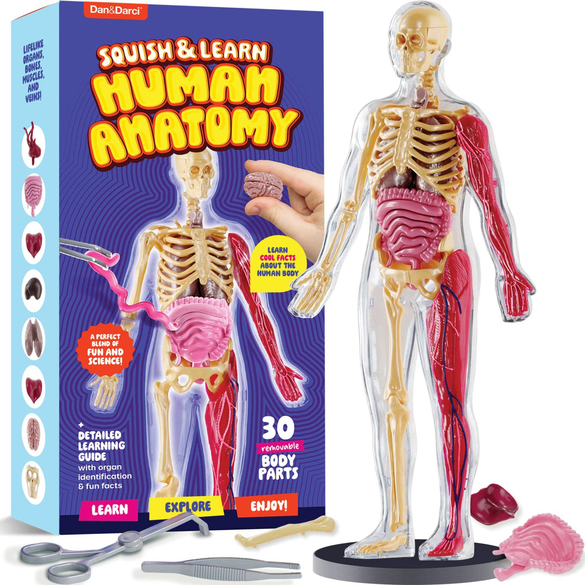 Hands-On Learning
