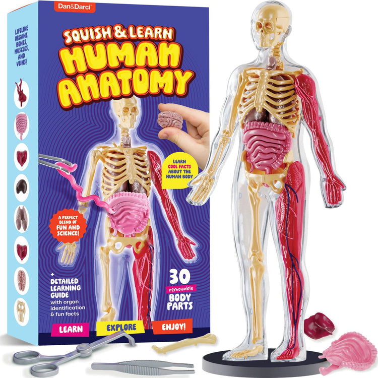 Hands-On Learning